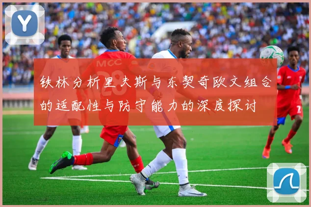 铁林分析里夫斯与东契奇欧文组合的适配性与防守能力的深度探讨